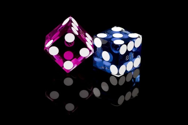 waktogel rtp Bingo